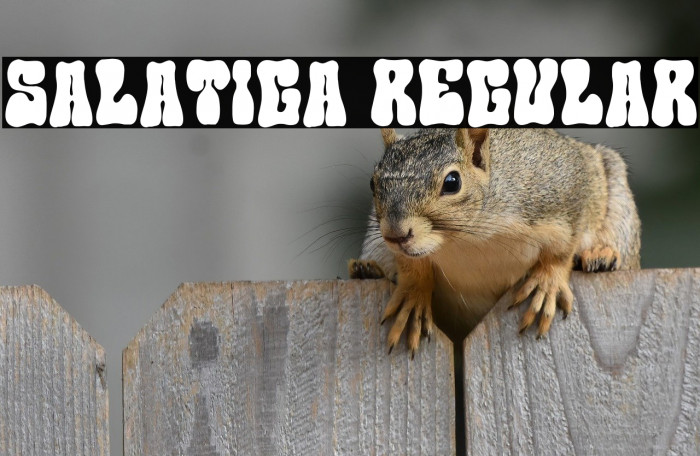 Salatiga Regular Example 2