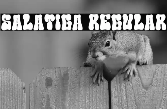 Salatiga Regular Font examples