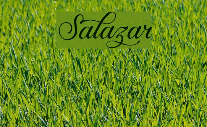 Salazar Font examples