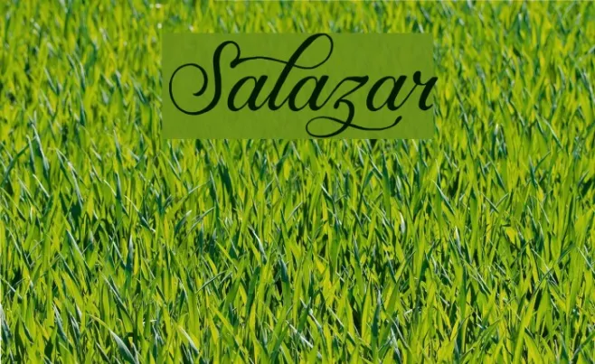 Salazar Example 1