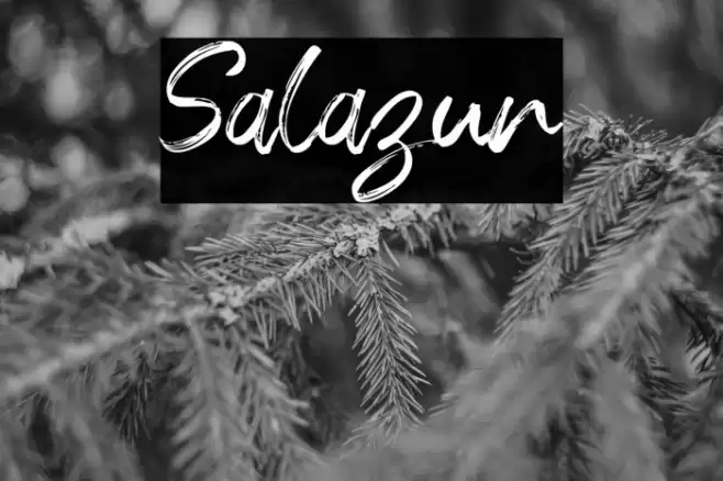 Salazur Font examples