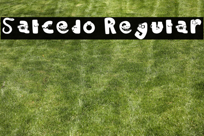 Salcedo Regular Example 2