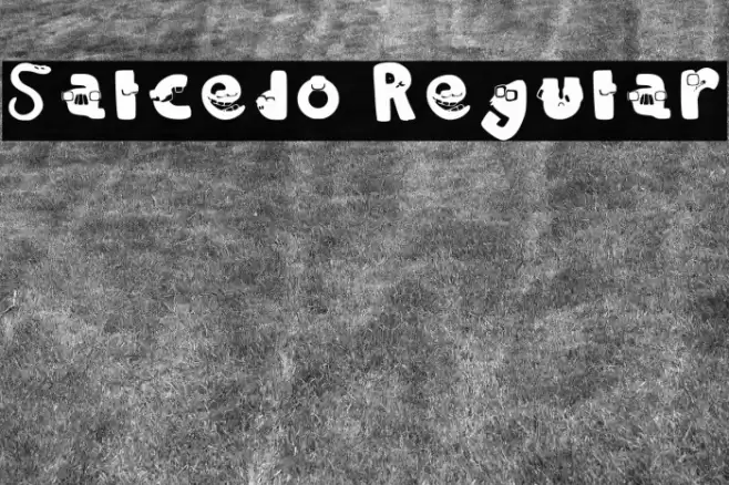 Salcedo Regular Font examples