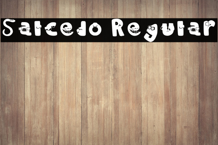 Salcedo Regular Example 3