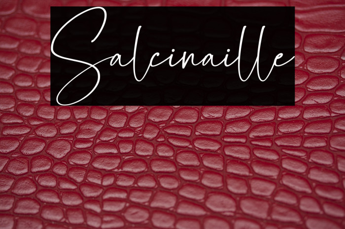 Salcinaille Example 1