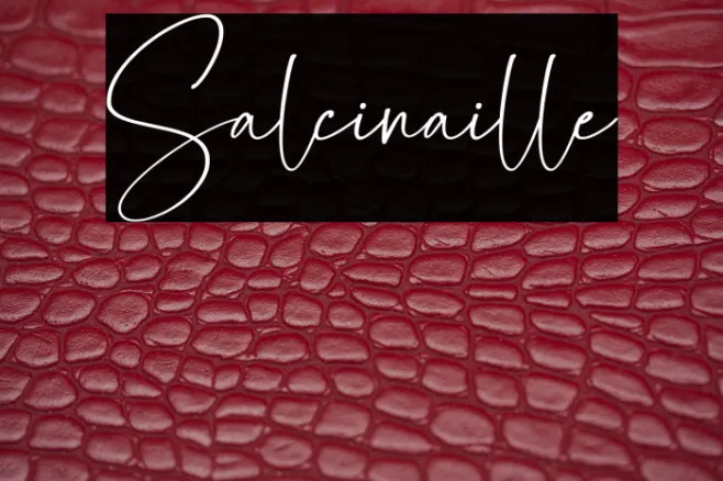 Salcinaille Example 1