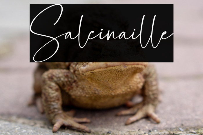 Salcinaille Example 2