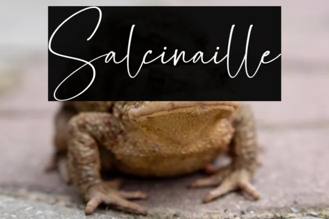 Salcinaille Example 2