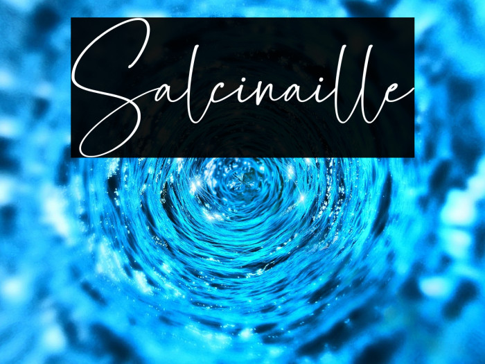 Salcinaille Example 3