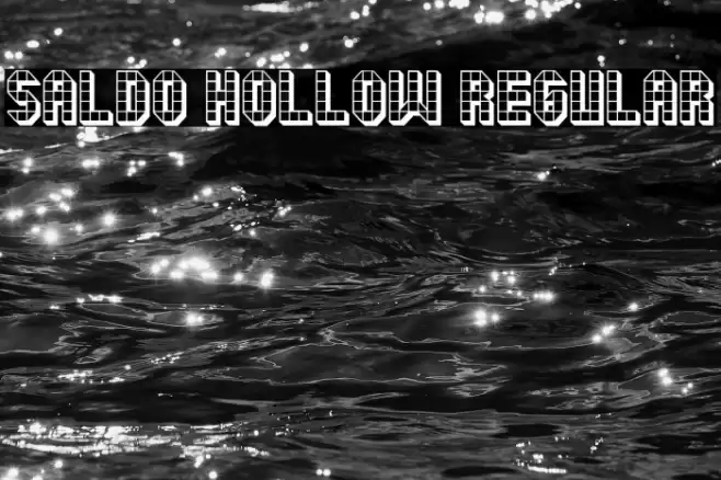 Saldo Hollow Regular Polices examples