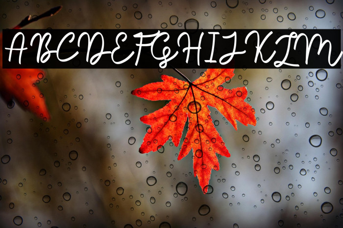 Sale Maker Script Script Example 2