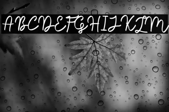 Sale Maker Script Script Schriftart examples