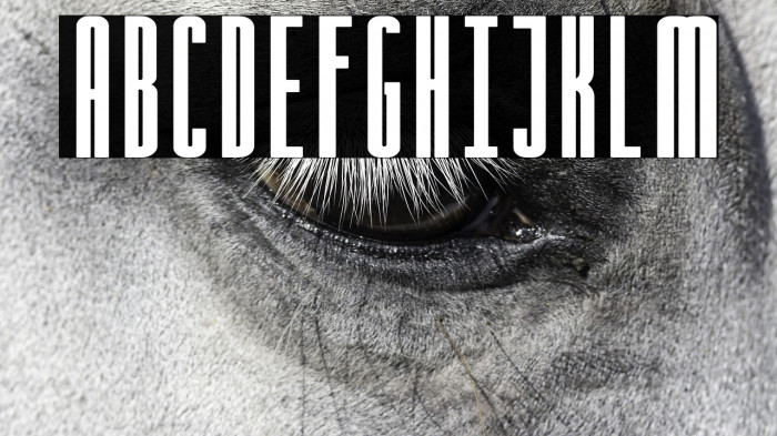 Sale Maker Example 1