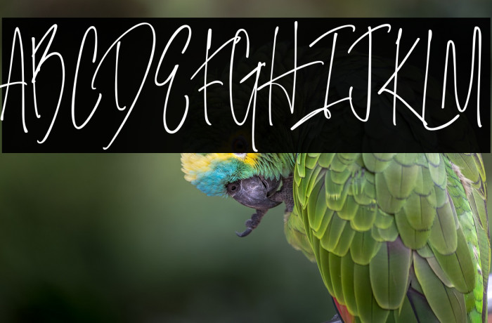 SalernitanaScript Example 3