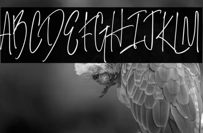 SalernitanaScript Font examples