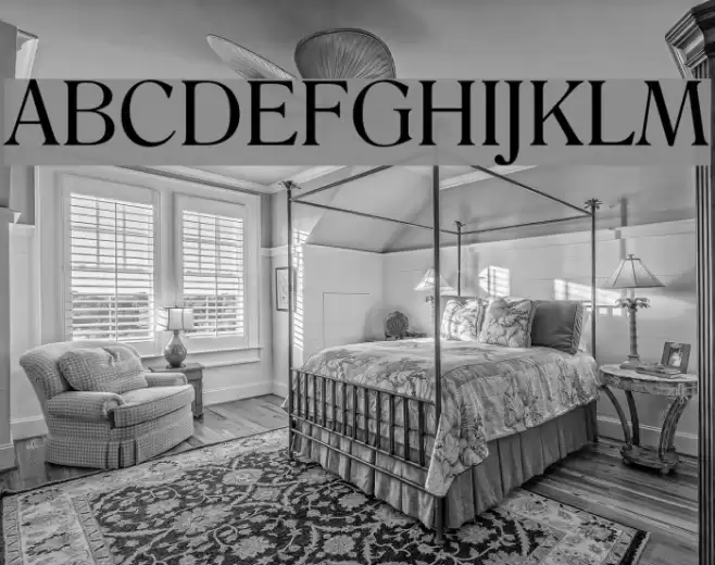 Salernomi J Font examples