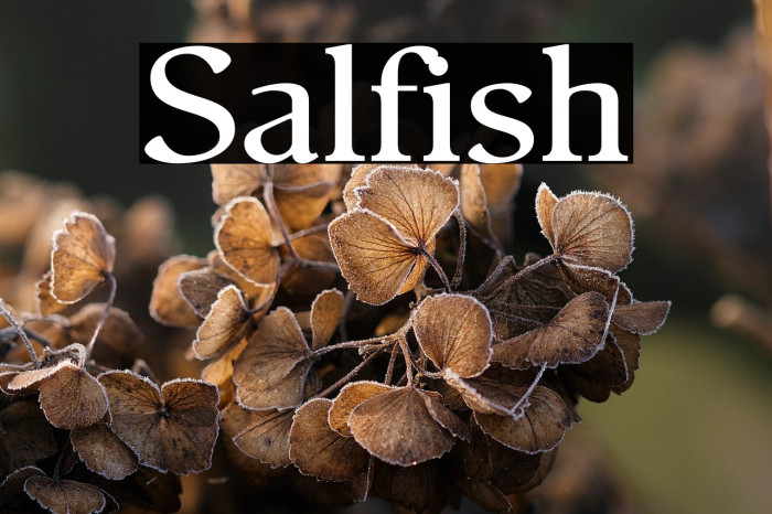 Salfish Example 1
