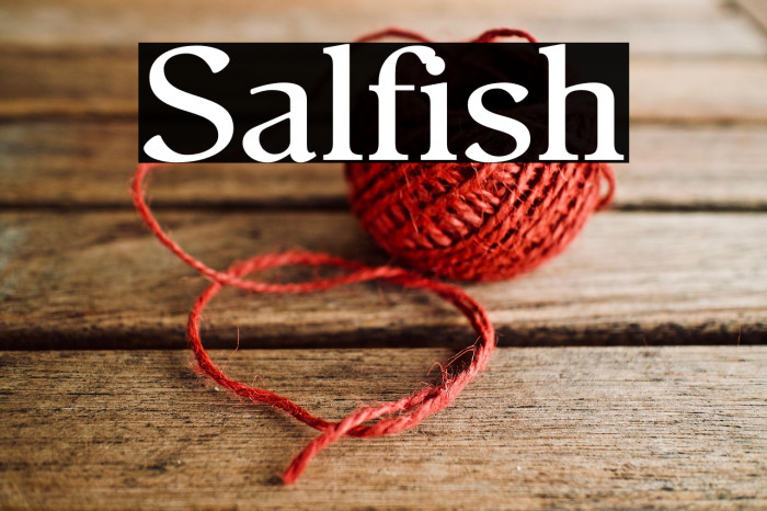 Salfish Example 2