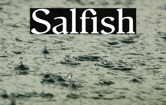 Salfish Example 3