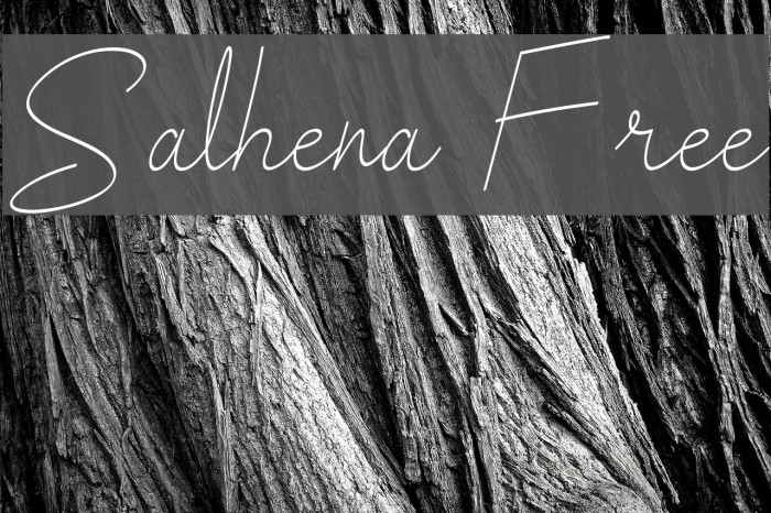 Salhena Free Font examples