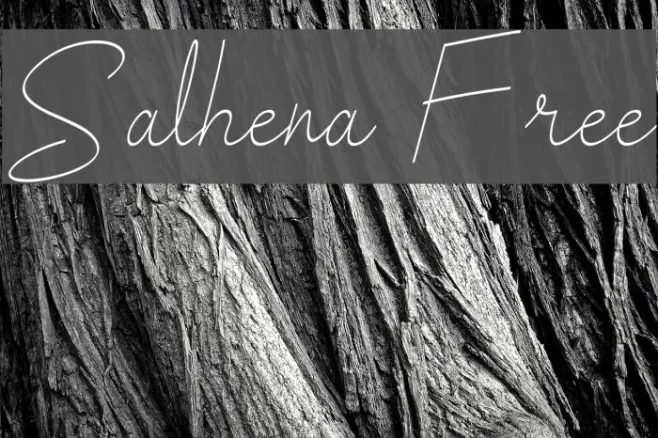 Salhena Free Example 1