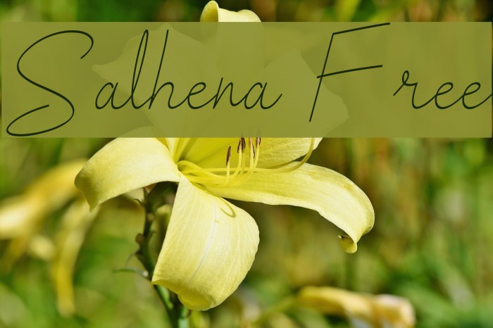 Salhena Free Font examples