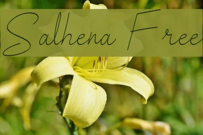Salhena Free Example 3