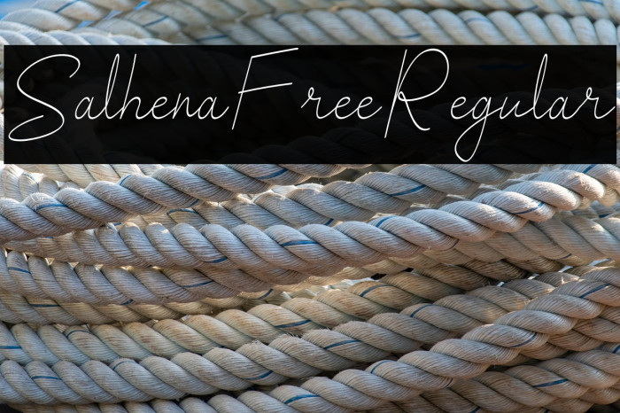 SalhenaFreeRegular Example 1