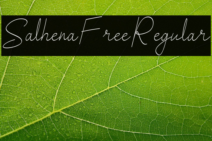 SalhenaFreeRegular Example 2