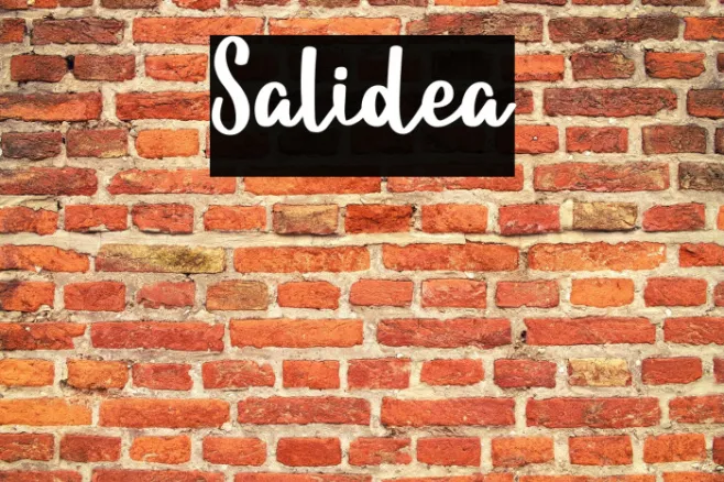 Salidea Example 1