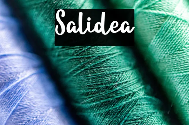 Salidea Example 2