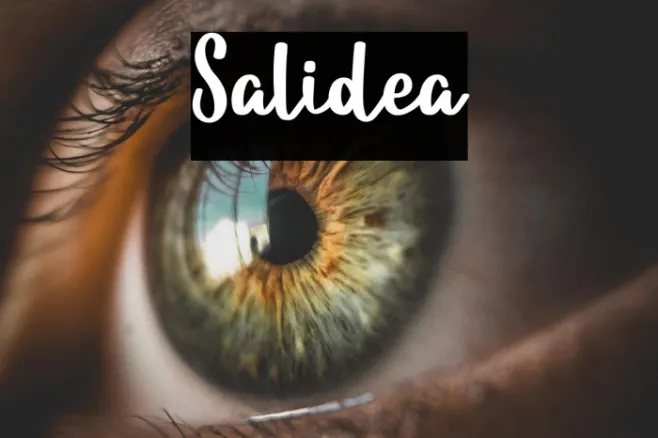 Salidea Example 3