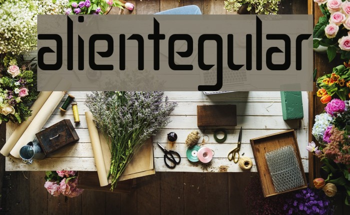 SalientRegular Example 1