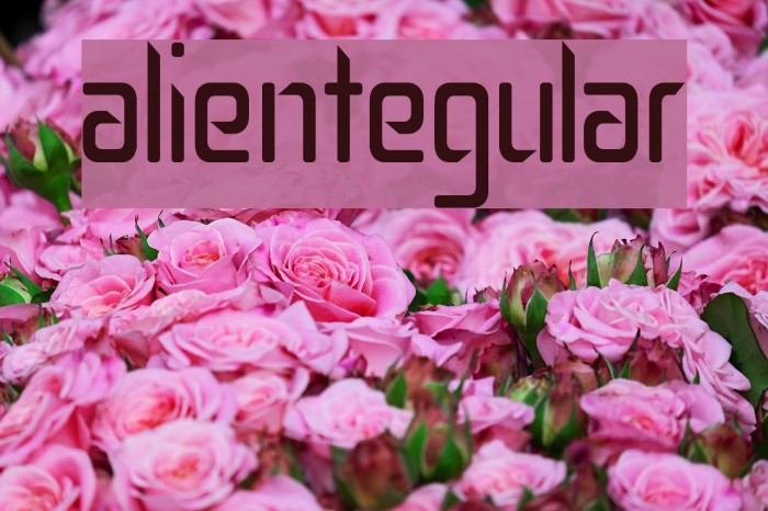 SalientRegular Example 3