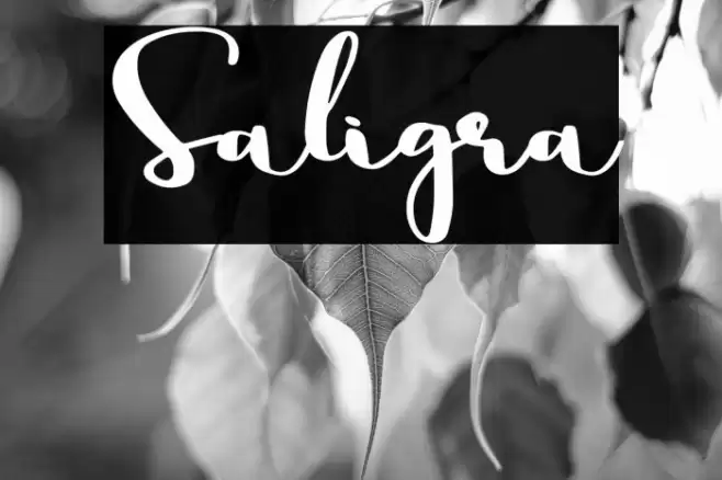 Saligra Font examples