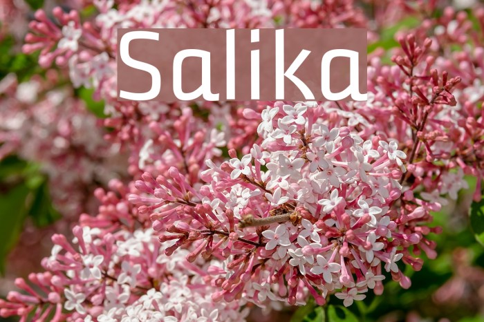 Salika Font examples