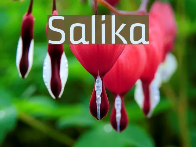 Salika Example 2