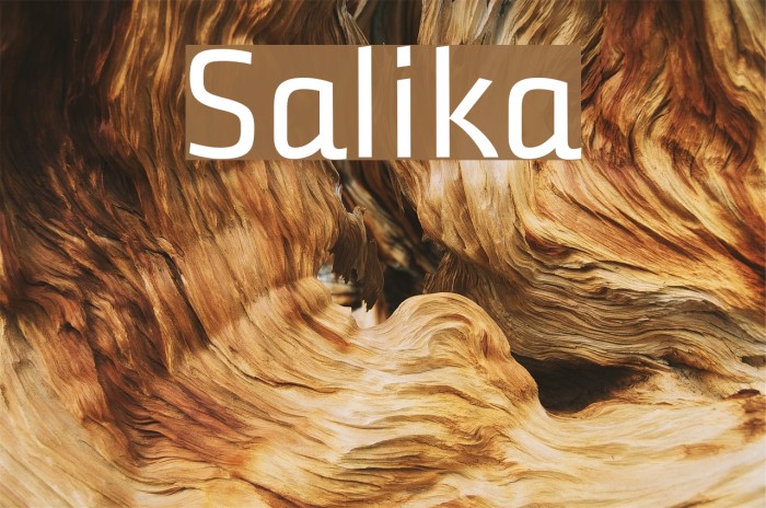 Salika Font examples
