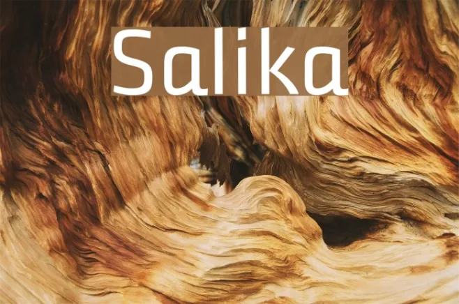 Salika Example 3