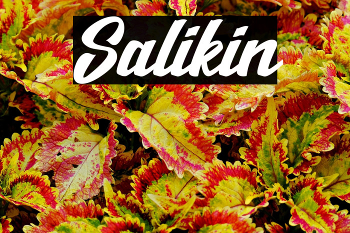 Salikin Example 3