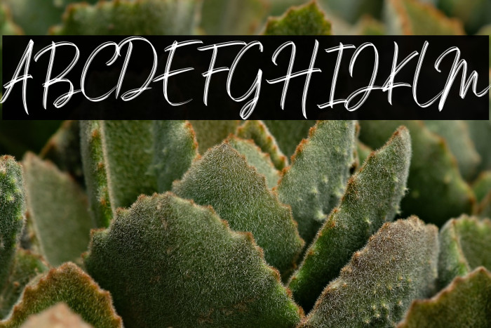 Salim DEMO Example 3