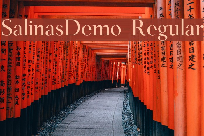 SalinasDemo-Regular Example 1