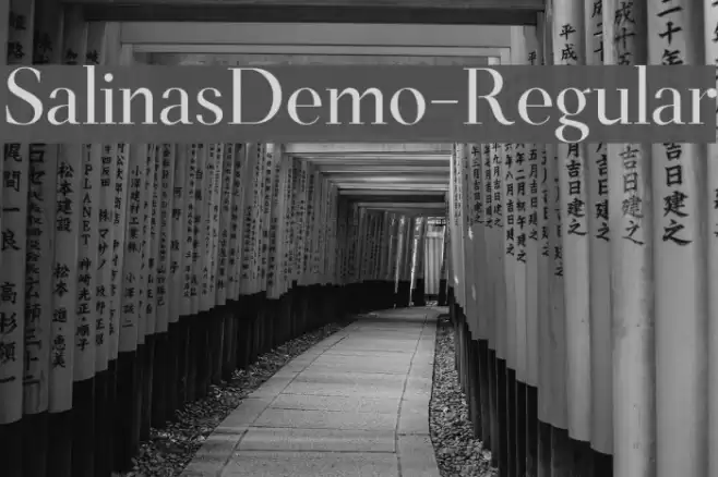 SalinasDemo-Regular Font examples