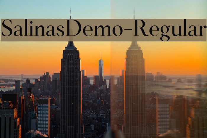 SalinasDemo-Regular Example 2