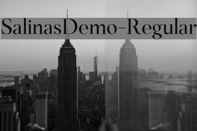 SalinasDemo-Regular Font examples