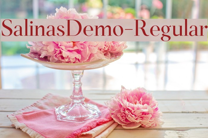 SalinasDemo-Regular Example 3