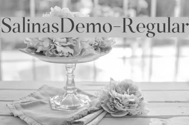 SalinasDemo-Regular Font examples