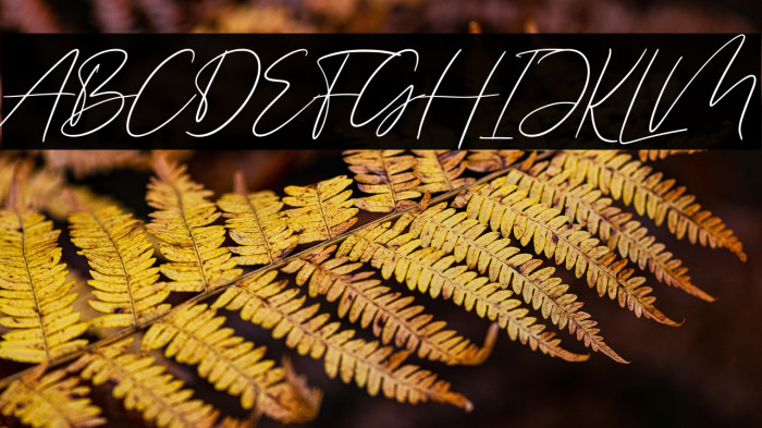 Saling Cinta Example 1