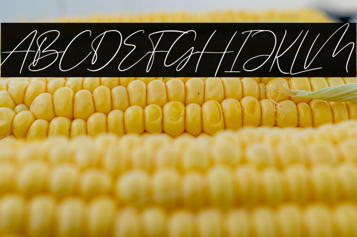 Saling Cinta Example 2