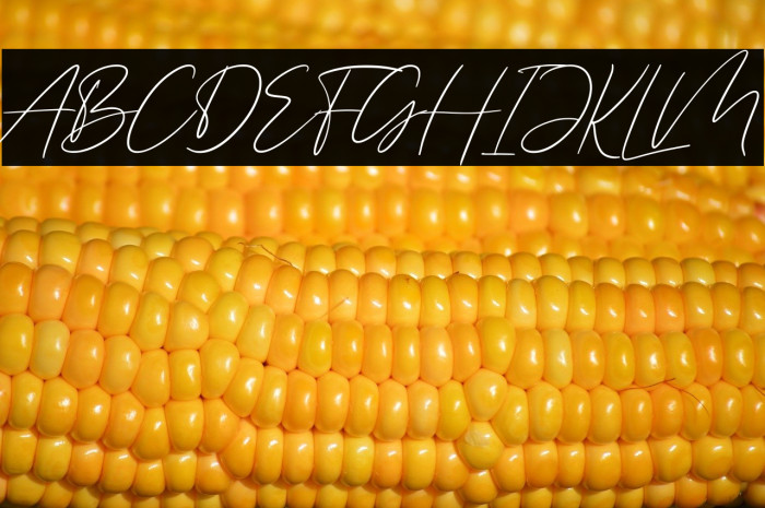 Saling Cinta Example 3